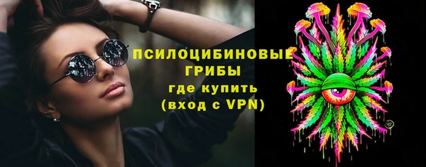 винт Верея