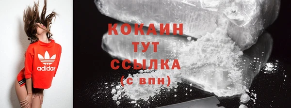 винт Верея