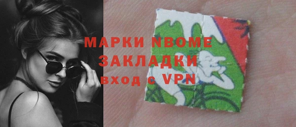 индика Володарск