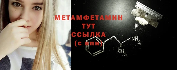 индика Володарск