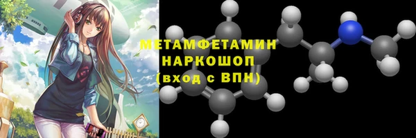 индика Володарск