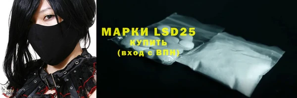 винт Верея
