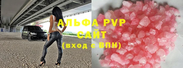 индика Володарск