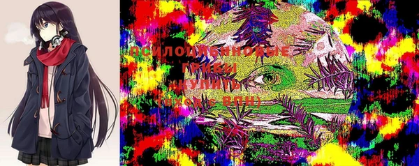 мяу мяу мука Верхний Тагил