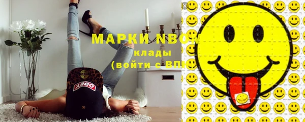 индика Володарск