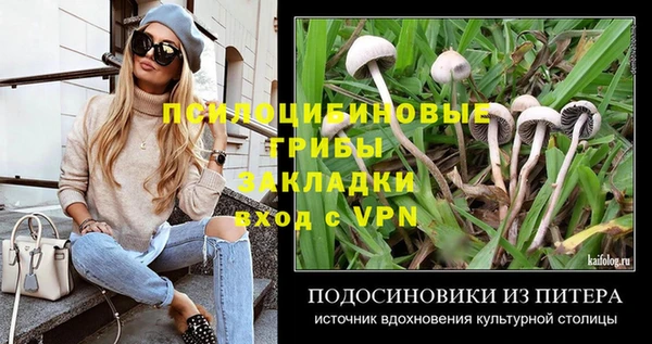 мяу мяу мука Верхний Тагил