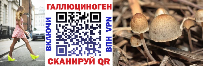 маркетплейс какой сайт  Бийск  Галлюциногенные грибы Psilocybe  где найти наркотики 
